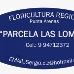 Floricultura Parcela las lomas